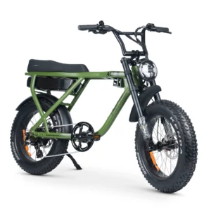 Ace X Plus+ S4 Electric Bike Combat Green