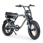 Ace X Plus+ S4 Electric Bike Titanium