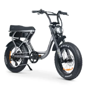 Ace S Plus+ S4 Electric Bike Titanium