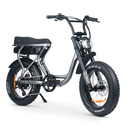 Ace S Plus+ S4 Electric Bike Titanium